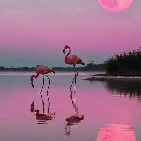 La Passiflore Hotel Vergeze